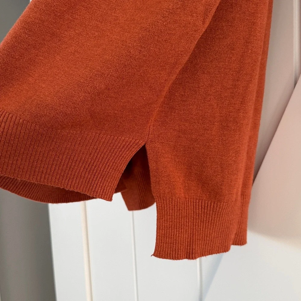 Dreamers by Debut Rust V Neck Front Seam Sweater